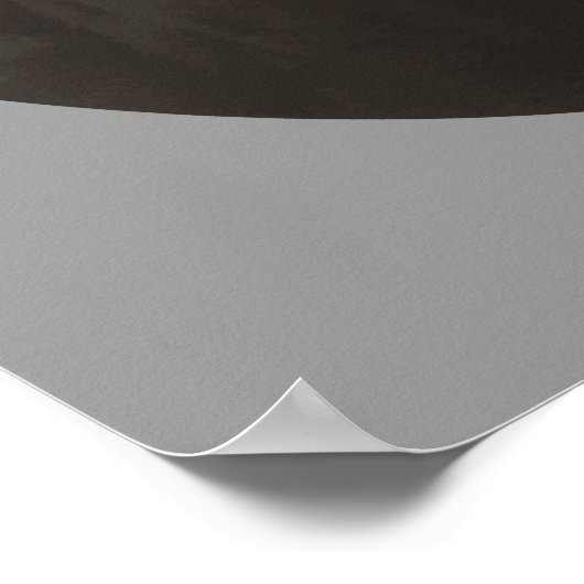 President Theodore Roosevelt Poster (Hoek)