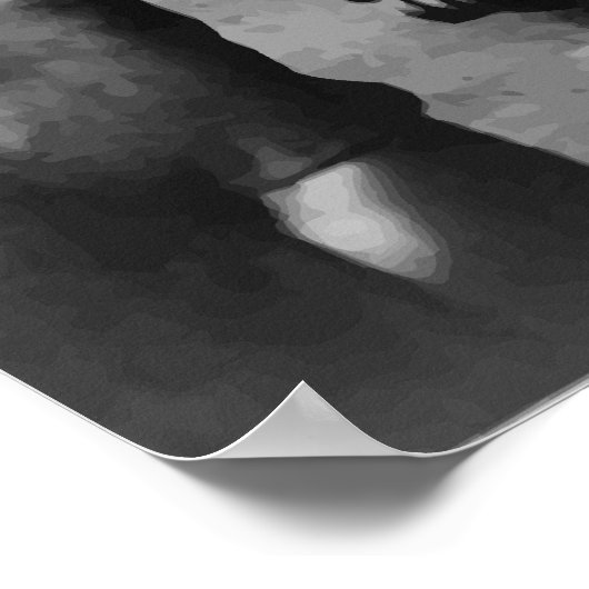 President Theodore Roosevelt Poster (Hoek)