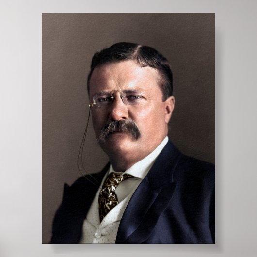 President Theodore Roosevelt Poster (Voorkant)
