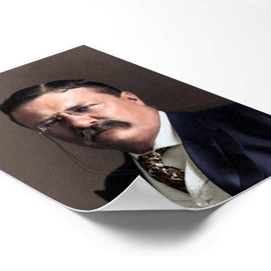 President Theodore Roosevelt Poster (Hoek)