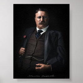 President Theodore Roosevelt Poster