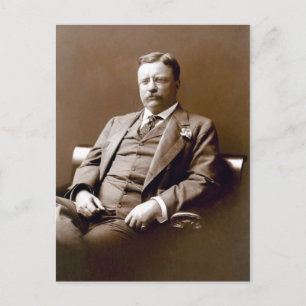  President Theodore Teddy Roosevelt Briefkaart