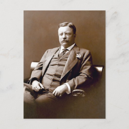 President Theodore Teddy Roosevelt Briefkaart (Voorkant)