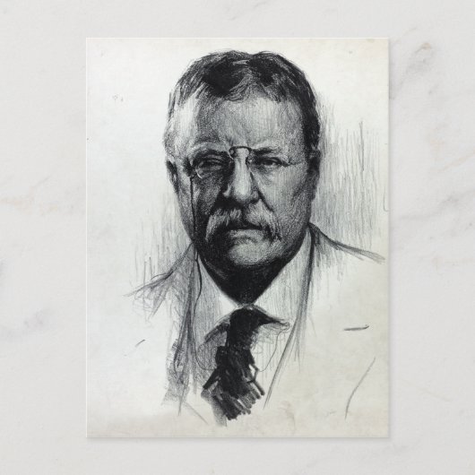 President Theodore Teddy Roosevelt Briefkaart (Voorkant)
