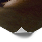  President Theodore Teddy Roosevelt Poster (Hoek)