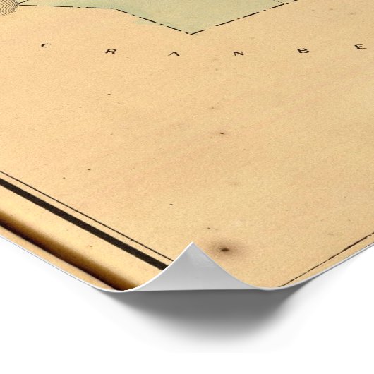 President Township Poster (Hoek)