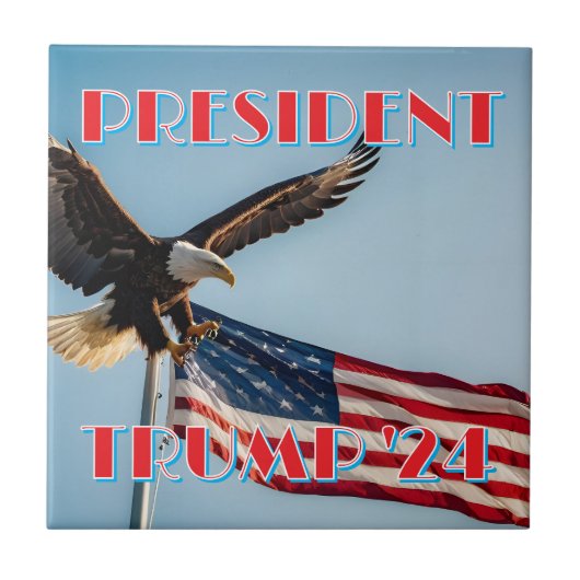 PRESIDENT TRUMP 2024 TEGELTJE (Voorkant)