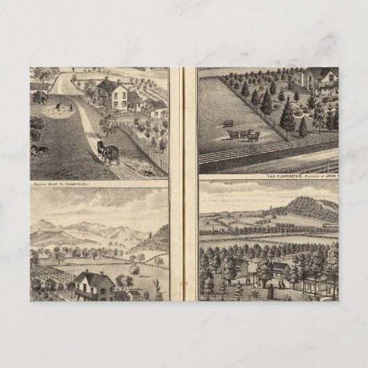 President van Franklin Bedwell Briefkaart (Voorkant)