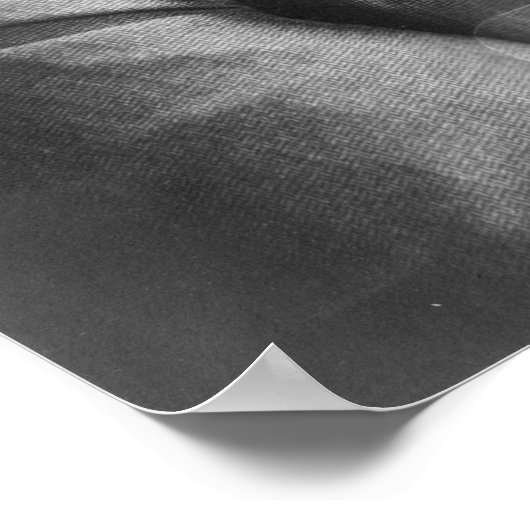  President William Howard Taft Foto Poster (Hoek)