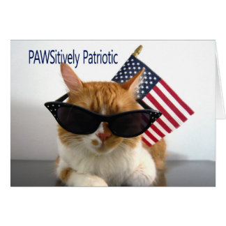 Presidents' Day - PAWSitief Patriotse Kat