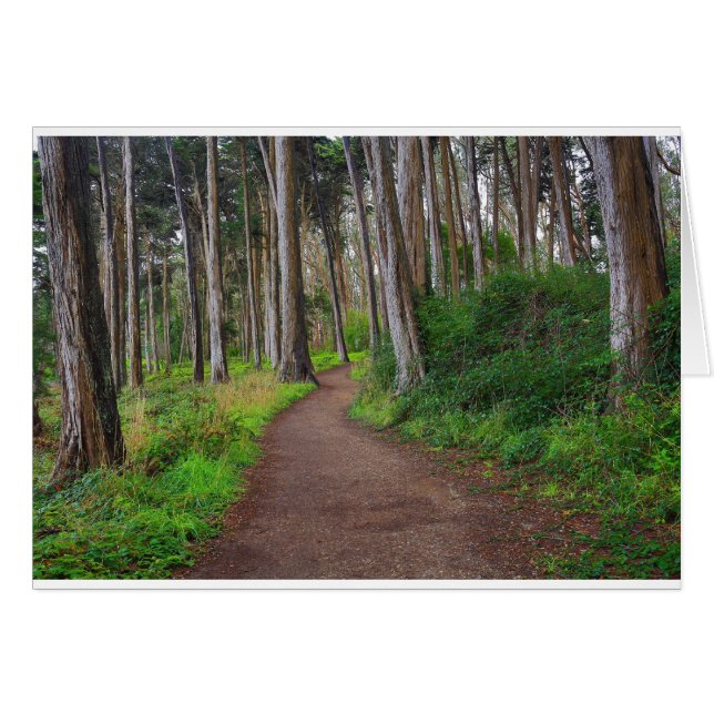 Presidio, SF (Voorkant Horizontaal)