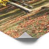 Presque Isle Park op een Herfst dag Poster (Hoek)