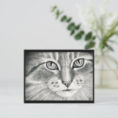 Prestatiekpotlood voor kattenkunst briefkaart (Staand voorkant)