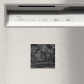 Prestwich St Hilda's Magnet (Insitu (Vaatwasser))