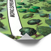 Pretkaart van Zilker Park Poster (Hoek)