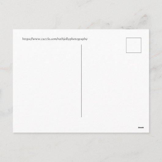 Prettig feest Dragonfly Feestdagenkaart (Achterkant)