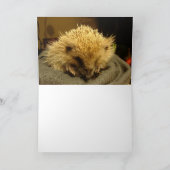 PRETTIG FEest "egel" Feestdagen Kaart (Binnen)