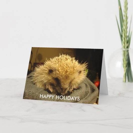 PRETTIG FEest "egel" Feestdagen Kaart (Voorkant)