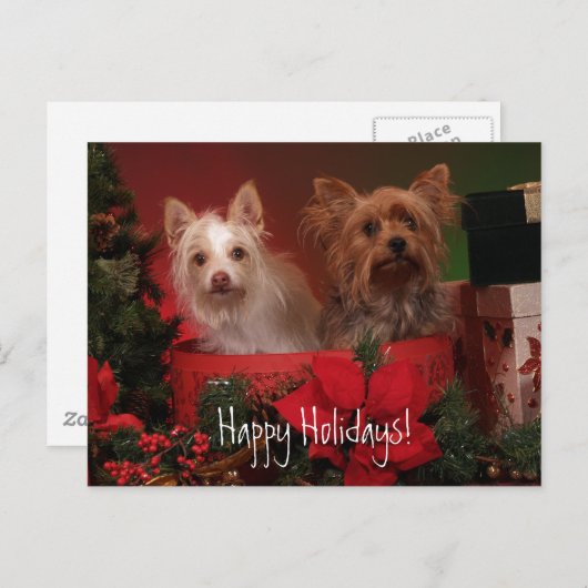 Prettig feest Yorkie en vrienden Feestdagenkaart (Voorkant / Achterkant)