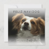 Prettig Feestelijk Navidog | Foto Kerstmis Feestdagenkaart (Voorkant)