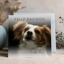 Prettig Feliz Navidog | Foto Kerstmis