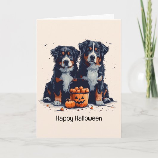 Prettig Halloween Berner Sennenhonden Pompoen Feestdagen Kaart (Voorkant)