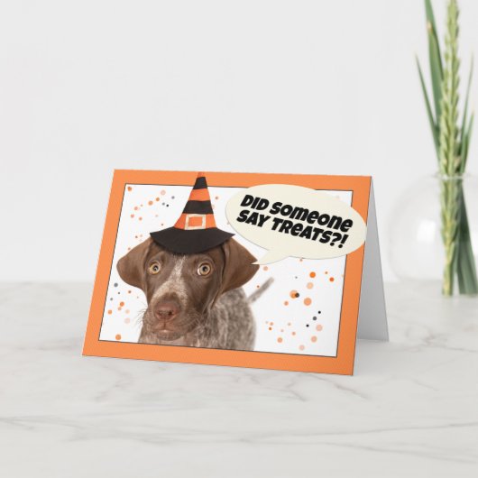Prettig Halloween Duitse Drahthaar Feestdagen Kaart (Voorkant)