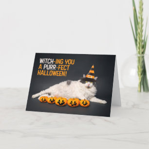 Prettig Halloween voor Iedereen Grappige Kat in He Feestdagen Kaart