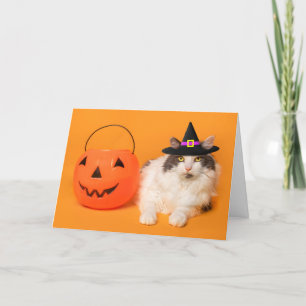 Prettig Halloween voor Iedereen Mooie Kat in Hekse Feestdagen Kaart