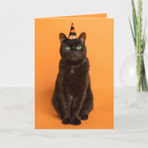 Prettig Halloween voor iedereen Zwarte kat in heks Feestdagen Kaart
