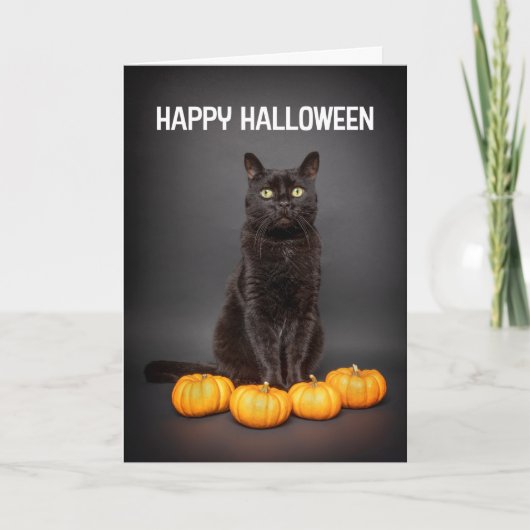 Prettig Halloween voor iedereen Zwarte katten met Feestdagen Kaart (Voorkant)