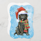 Prettig Howlidays Belgische Schaapshond Feestdagenkaart (Voorkant / Achterkant)