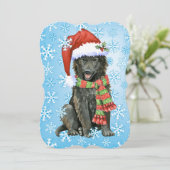 Prettig Howlidays Belgische Schaapshond Feestdagenkaart (Staand voorkant)