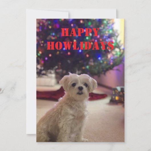 Prettig Howlidays Kerstkaart Kaart (Voorkant)