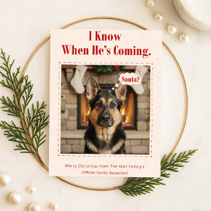 Prettig Howlidays Knuffel Huisdier Foto Hond Kerst Feestdagenkaart