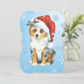Prettig Howlidays Mini American Shepherd Feestdagenkaart (Staand voorkant)