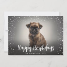 Prettig Howlidays Mooie Hond Foto Kerstmis