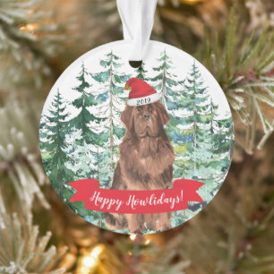 Prettig Howlidays Newfoundland-hond Kerstmis Ornament