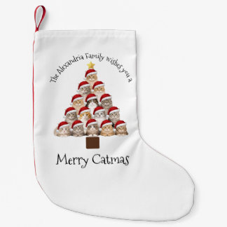 Prettig Katfeest Persoonlijke Familie Kerstvakanti Kleine Kerstsok