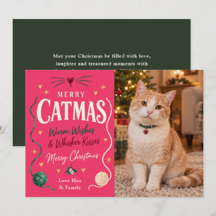 Prettig KatKerstmis Kat Kerstmis Foto Feestdagenkaart