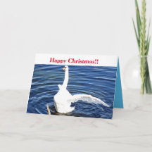 Prettig Kerst Zwaan