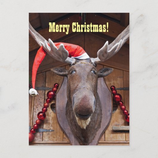 Prettig kerstfeest ansichtkaart feestdagenkaart (Voorkant)