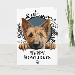 Prettig Kerstfeest Berger Picard Hond Kerstmis Feestdagen Kaart