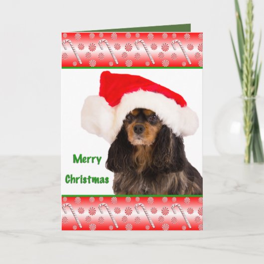 Prettig kerstfeest Cavalier King Charles kaart (Voorkant)