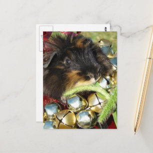 Prettig kerstfeest cavia briefkaart