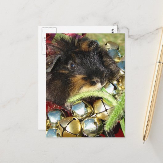 Prettig kerstfeest cavia briefkaart (Voorkant / Achterkant in situ)