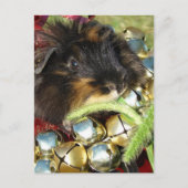 Prettig kerstfeest cavia briefkaart (Voorkant)