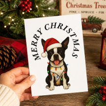 Prettig kerstfeest cute Boston Terrier kerstmuts h