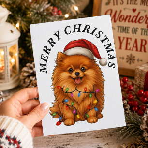 Prettig kerstfeest Cute Pomeranian Hond Sinterklaa Feestdagenkaart