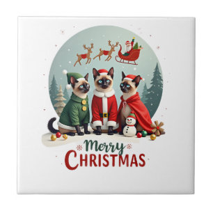 Prettig kerstfeest Drie Sinterklaas Elf Rendier Si Tegeltje